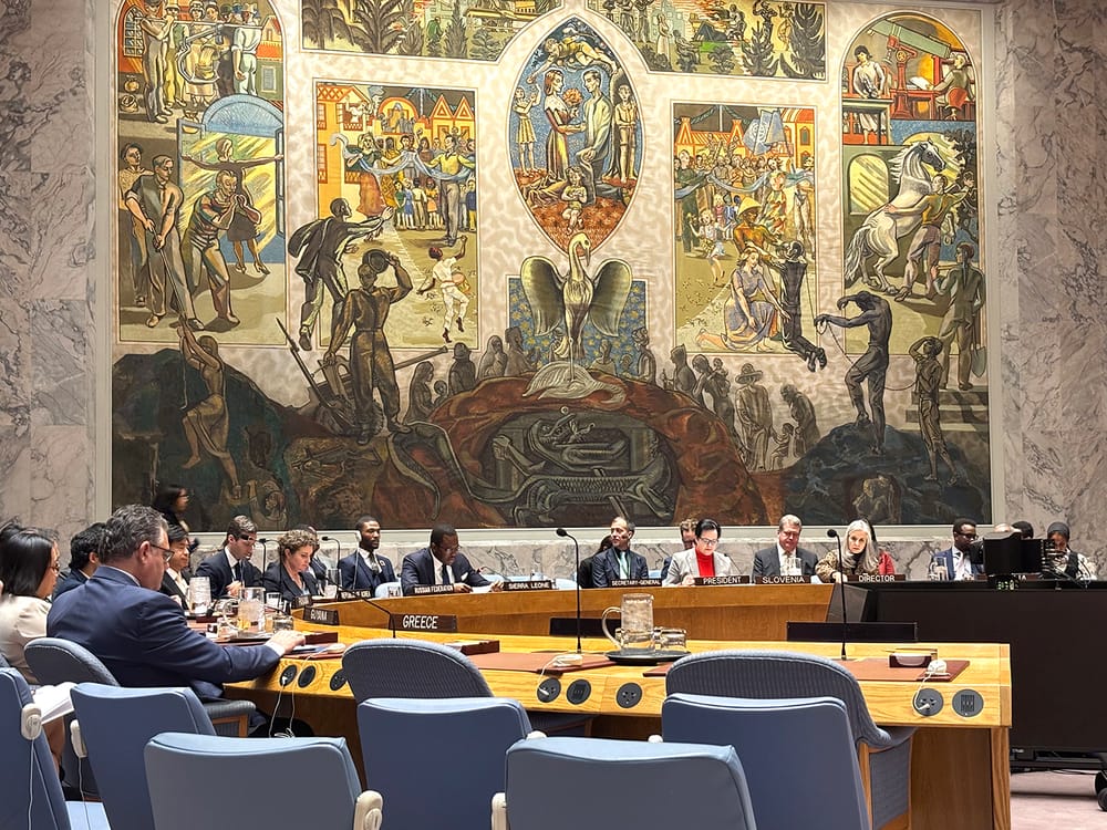 UN Security Council Reaffirms Youth Participation, but Leaves Key Gaps post feature image