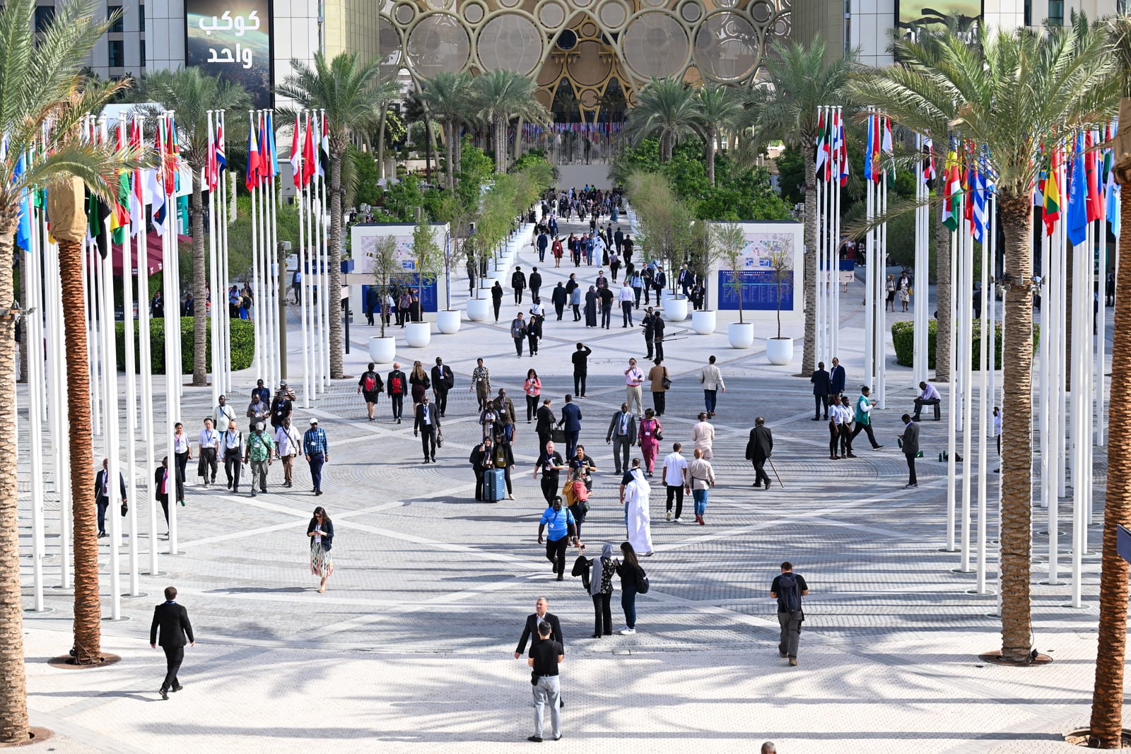 COP28: Students feel disappointed but not disempowered