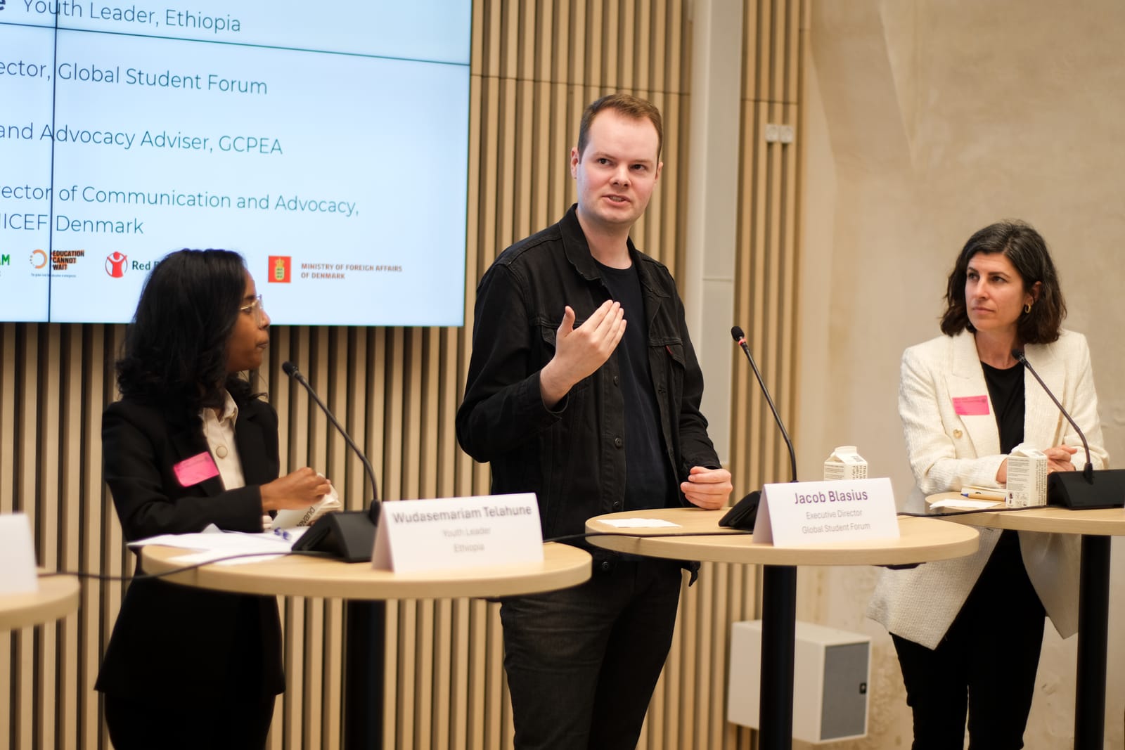 Defining Meaningful Partnerships at the Nordic-African Conference on Quality Education post image