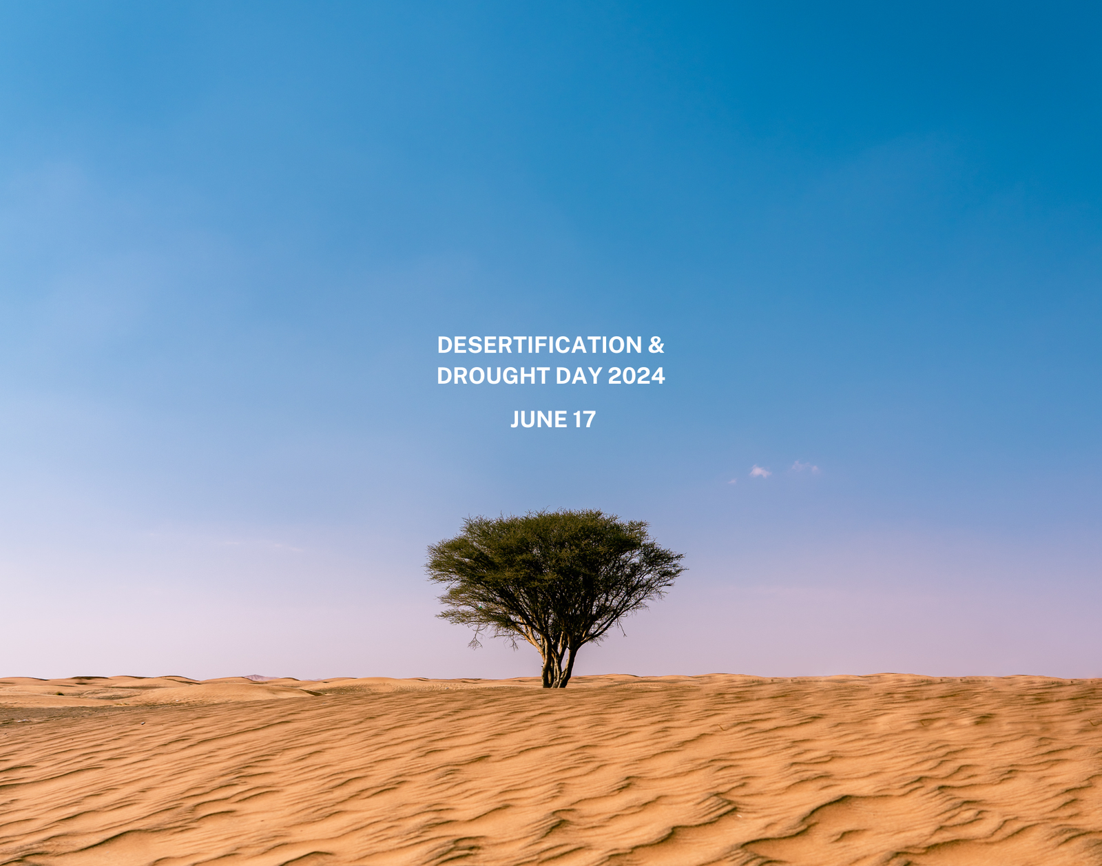 Event: The desert is coming. How does it impact students and education? post image