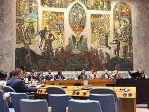 UN Security Council Reaffirms Youth Participation, but Leaves Key Gaps post feature image
